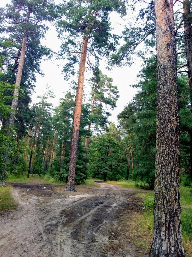 Guest House Kiev Forest 外观 照片