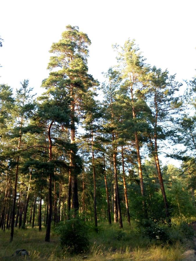 Guest House Kiev Forest 外观 照片